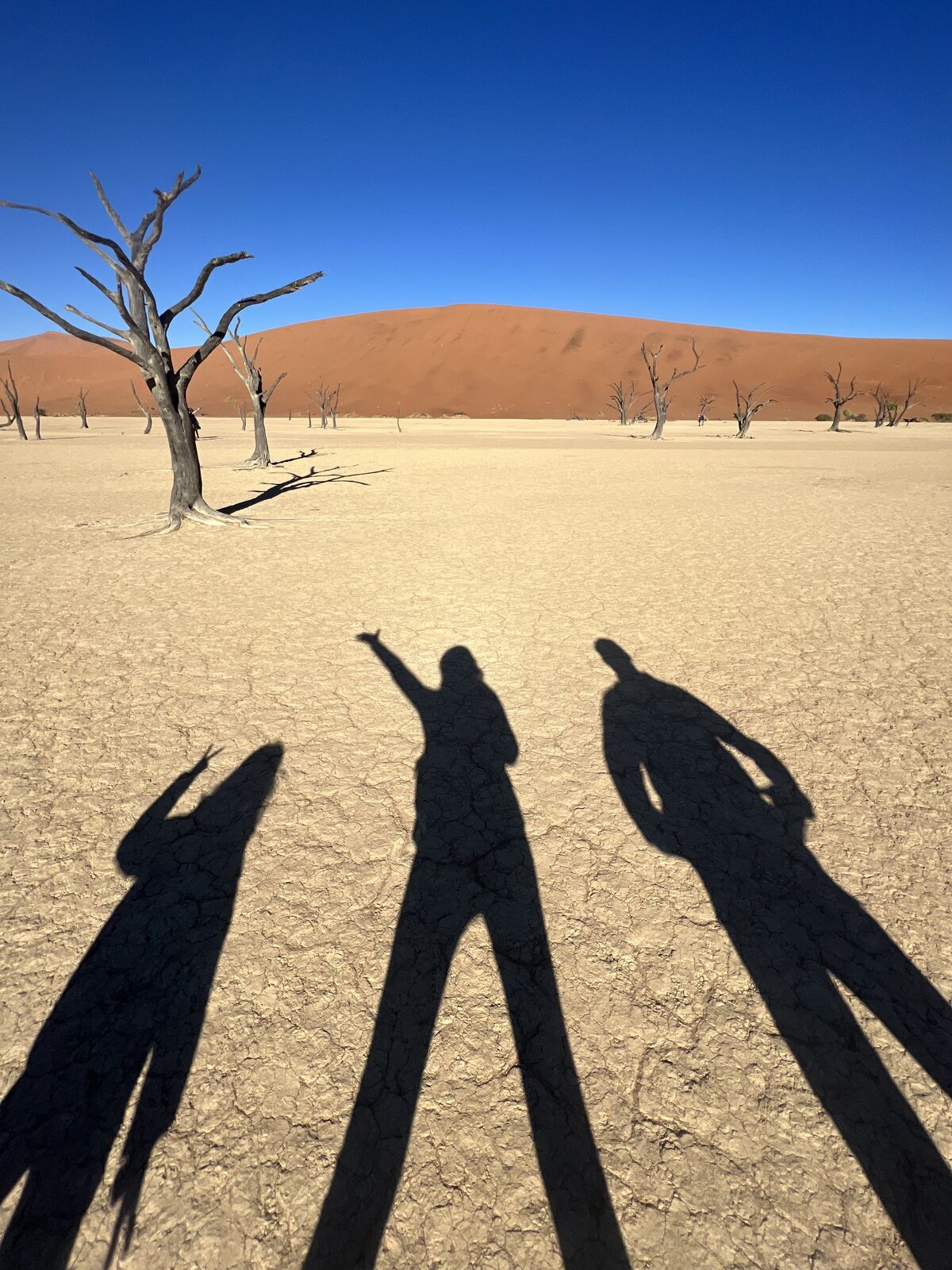 Récit du tour du monde en famille de notre experte Bérangère